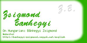 zsigmond banhegyi business card